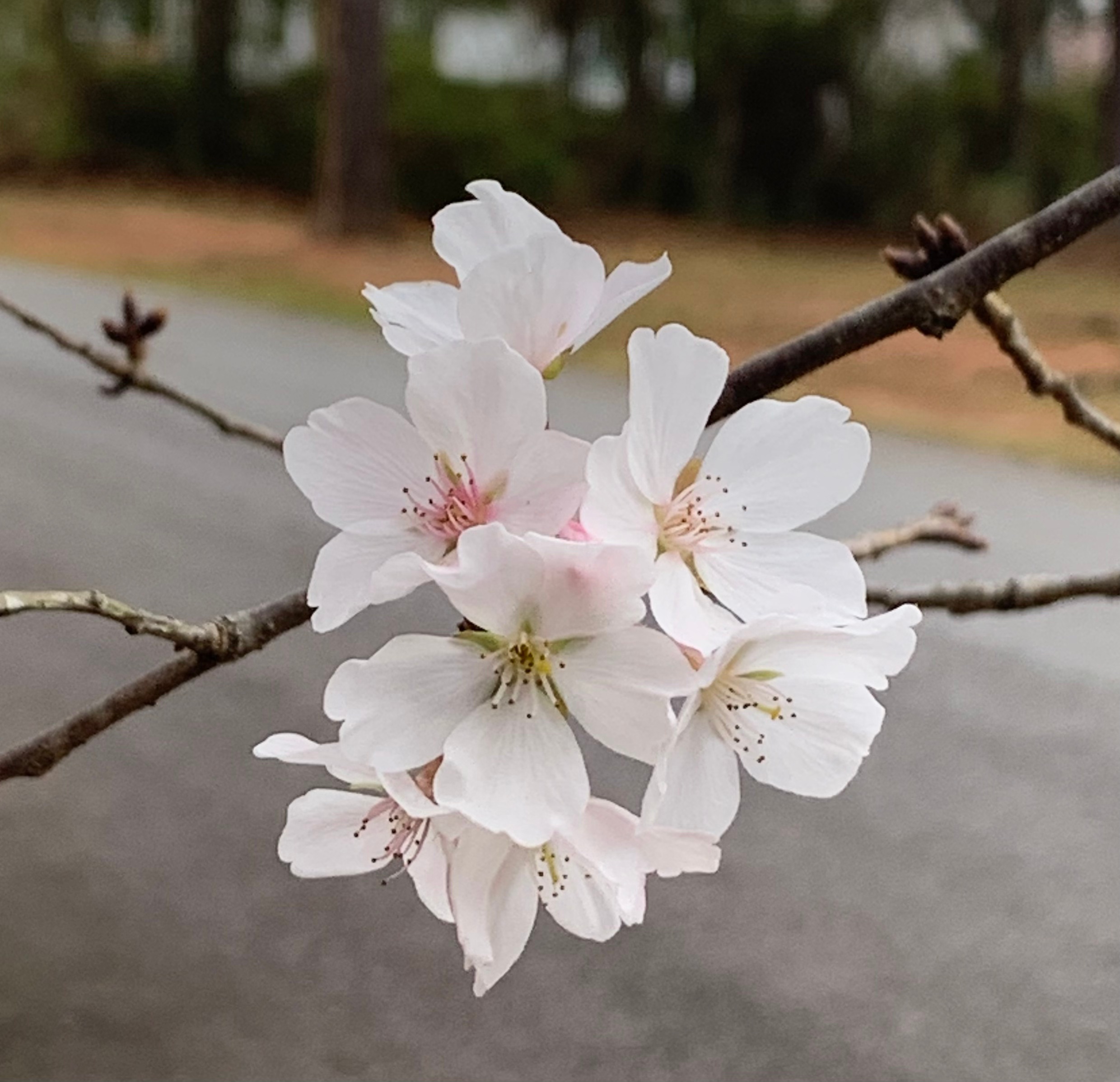 War and Rumors of&nbsp;War